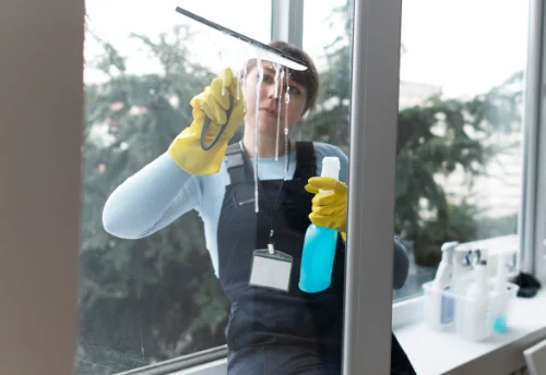 Nettoyage de vitres intérieures et extérieures à Saint-Vincent-en-Bresse